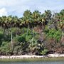 Boat tour to surrounding keys